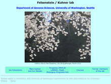 Tablet Screenshot of evolution.genetics.washington.edu